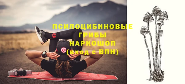дживик Алексеевка