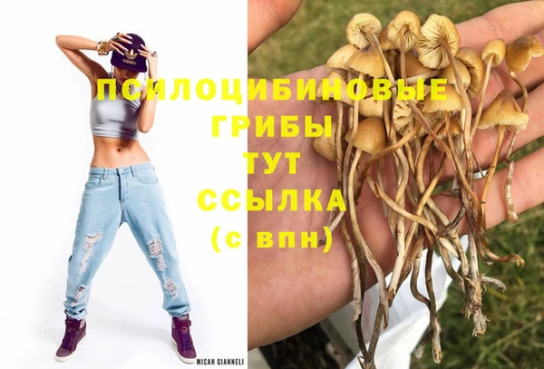 дживик Алексин