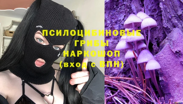 дживик Алексеевка